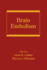Brain Embolism (Neurological Disease and Therapy)
