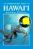 An Underwater Guide to Hawai'I