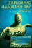 Scott: Exploring Hanauma Bay (Kolowalu Books (Paperback))