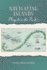 Navigating Islands: Plays from the Pacific