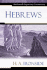 Hebrews (an Ironside Expository Commentaries)
