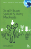 Small-Scale Social Survey Methods (Real World Research)
