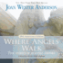Where Angels Walk: True Stories of Heavenly Visitors