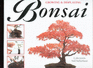 A Step-By-Step Guide to Growing & Displaying Bonsai