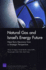 Natural Gas and Israel's Energy Future: Near-Term Decisions From a Strategic Perspective