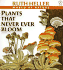Plants That Never Ever Bloom
