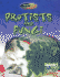 Protists and Fungi