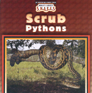 Scrub Pythons (Worlds Largest Snakes)