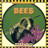 Bees (Insects)