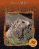 Little Marmots (Born to Be Wild)