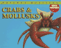 Crabs & Mollusks (Nature's Monsters: Water Creatures)