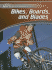 Bikes, Boards, and Blades (Action Sports)