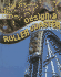 Using Math to Design a Roller Coaster (Mathworks! )