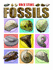 Fossils (Rock Stars)