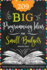 209 Big Programming Ideas for Small Budgets