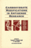 Carbohydrate Modifications in Antisense Research (Acs Symposium Series)