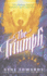 The Triumph 04 Chronicles of Heaven