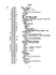 Classification