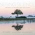 Seeing Silence: the Beauty of the World's Most Quiet Places