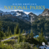 Hiking America's National Parks (Great Hiking Trails)