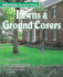 Southern Living Garden Guide: Lawns & Ground Covers (Southern Living Garden Guides)