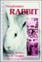 Laboratory Rabbit