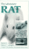The Laboratory Rat / Plasticcomb