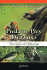 Predator-Prey Dynamics: The Role of Olfaction