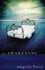 The Awakening: a Novel of Discovery