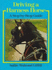 Driving a Harness Horse: a Step-By-Step Guide
