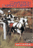 Competition Carriage Driving