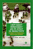 Crop Variety Improvement and Its Effect on Productivity: the Impact of International Agricultural Research (Cabi)