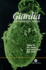 Giardia: the Cosmopolitan Parasite