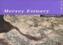 Mersey Estuary Management Plan: a Strategic Policy Framework