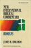 New International Biblical Commentary-Romans, New Testament Series