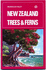 New Zealand Trees and Ferns