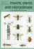 Insects, plants and microclimate