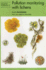 Pollution Monitoring With Lichens (Volume 19)