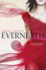 Everneath By Ashton, Brodi ( Author ) on Aug-02-2012, Paperback