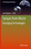 Syngas From Waste: Emerging Technologies (Green Energy and Technology) [Hardcover] [Jul 15, 2011] Puigjaner, Luis