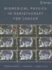 Biomedical Physics in Radiotherapy for Cancer