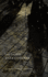 Dark Company: a Novel in Ten Rainy Nights