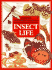 Mysteries and Marvels of Insect Life (Mysteries & Marvels Books)