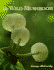The Wild Mushroom