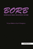 Borb: Birmingham Object Recognition Battery