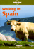 Walking in Spain (Lonely Planet Walking Guides)