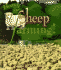 Hooray for Sheep Farming! (Hooray for Farming! Series)