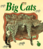 Big Cats (Crabapples)