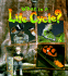 What is a Life Cycle? (the Science of Living Things)