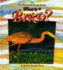 What is a Bird? (Science of Living Things (Hardcover))